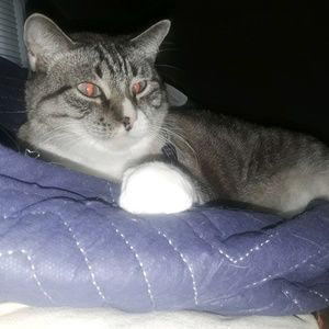 Meet your Posher, Jamie